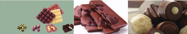 QJZ - I Servo Driven Chocolate Moulding Plant
