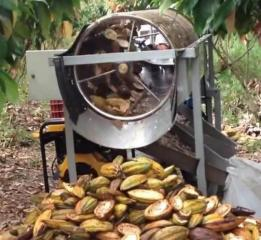 CCTS1000 cocoa bean pod crushing separator
